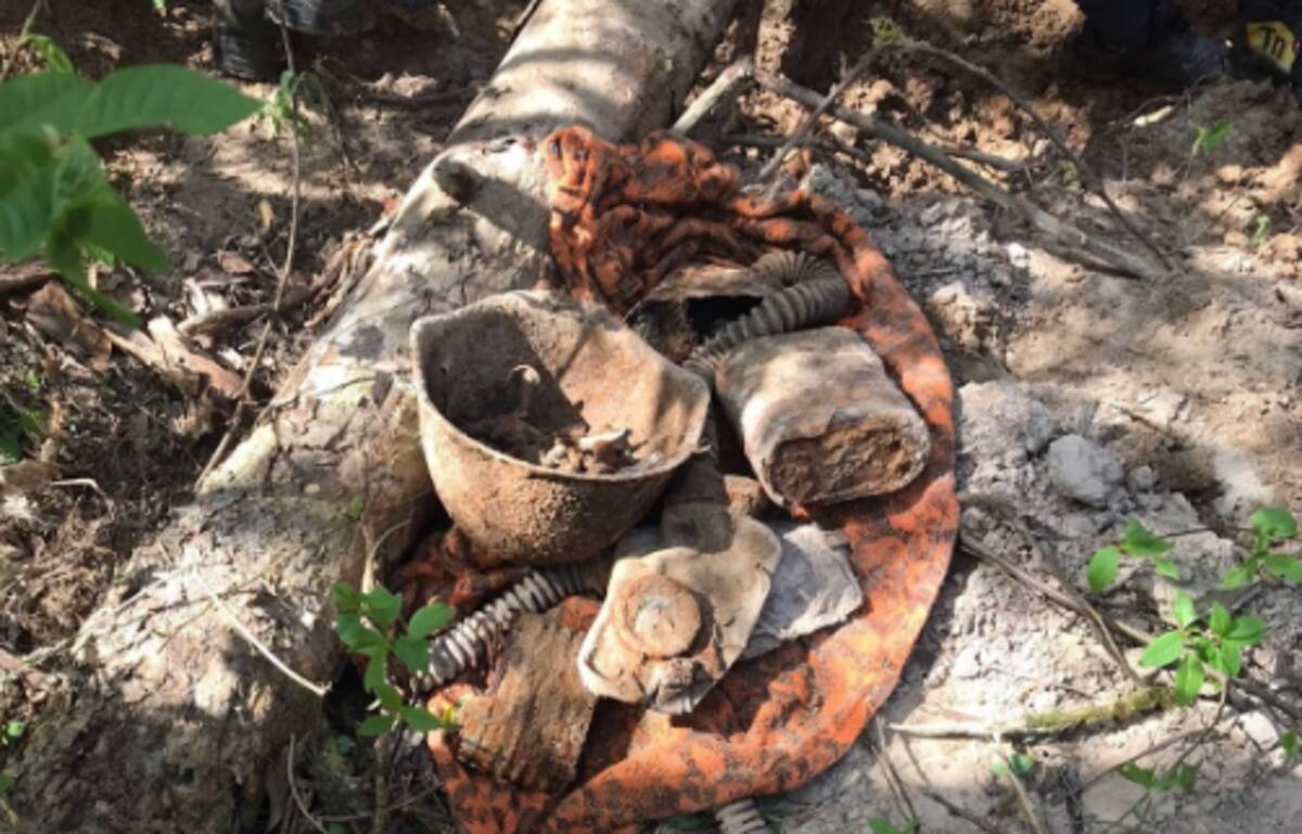 В Брасовском районе Брянской области нашли останки пяти красноармейцев