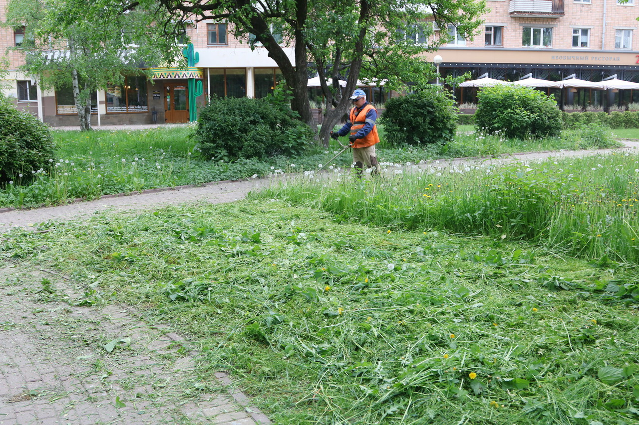В Брянске весной покосили более 900 тысяч квадратных метров травы