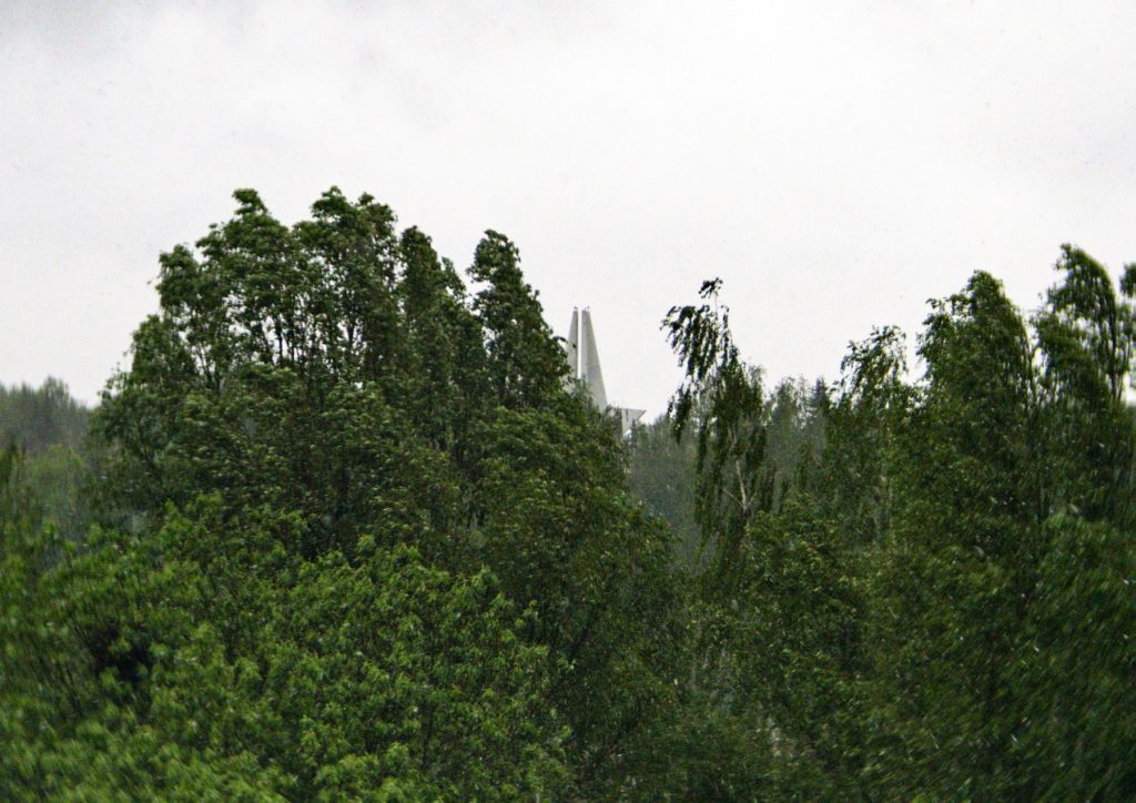 Дожди и грозы пройдут в Брянской области 29 июня