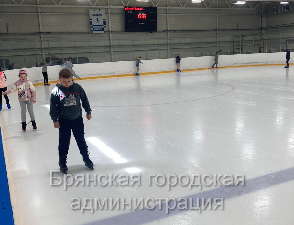 Ребят из школьных лагерей Брянска бесплатно пустят в ледовые дворцы
