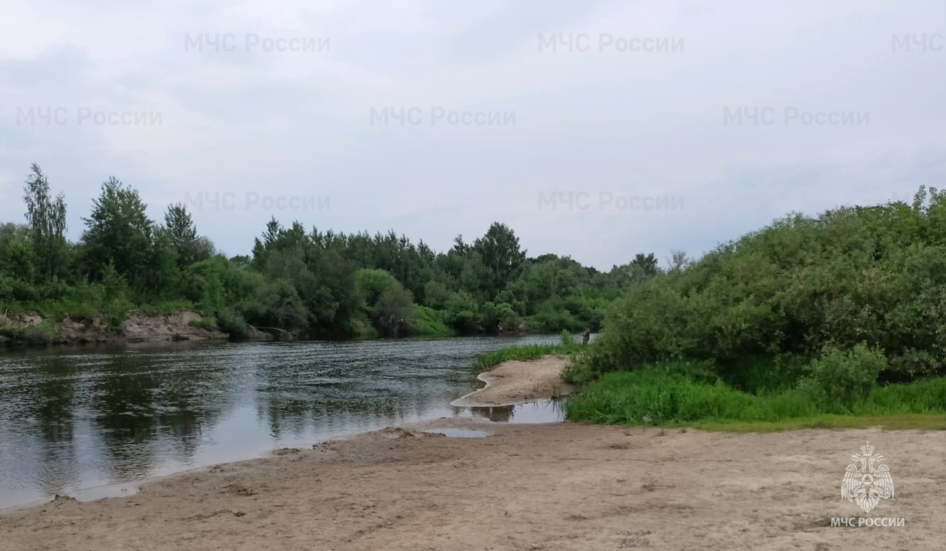 Тело погибшего подростка достали из реки в Новозыбковском районе