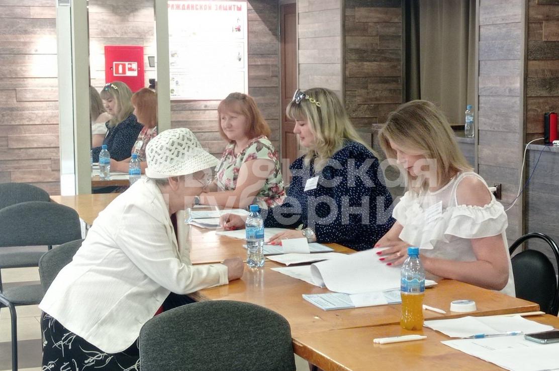 В Брянской области проходят довыборы в представительные органы власти