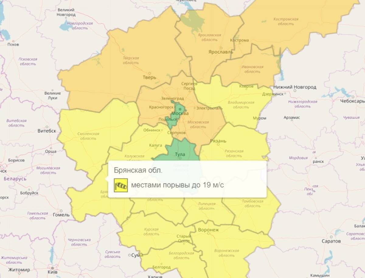 В Брянской области объявлен желтый уровень погодной опасности из-за ветра