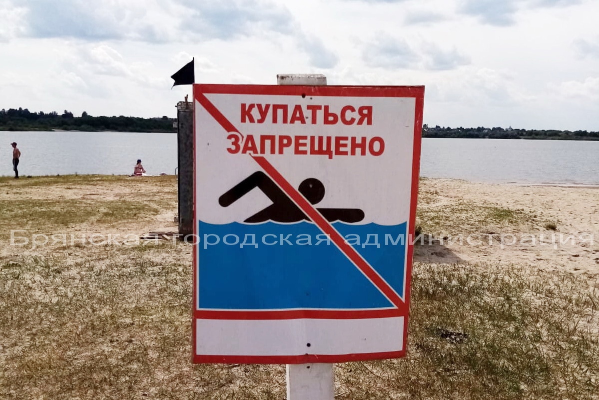 В Брянске пляж Орлик закрыли для купания