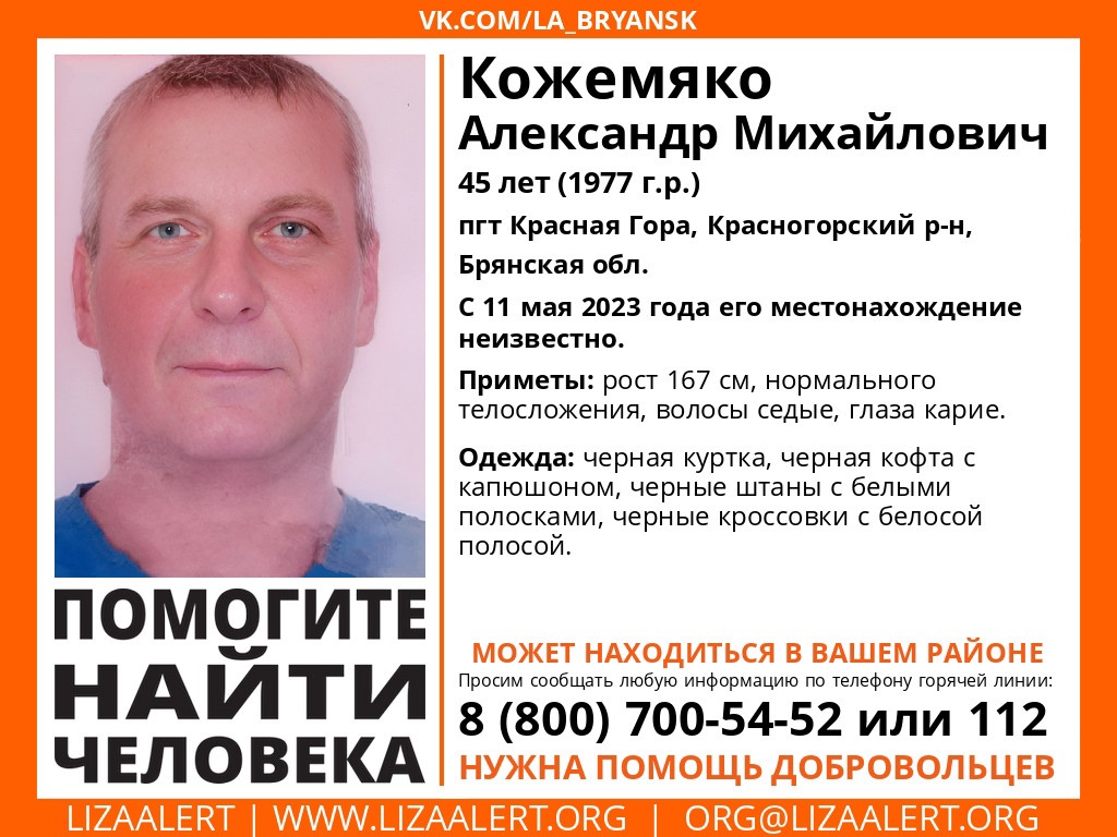 В Брянской области без вести пропал 45-летний Александр Кожемяко