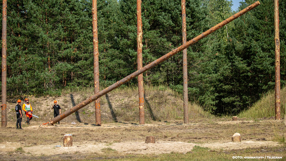 В Брянской области состоится чемпионат среди вальщиков леса «Лесоруб-2023»