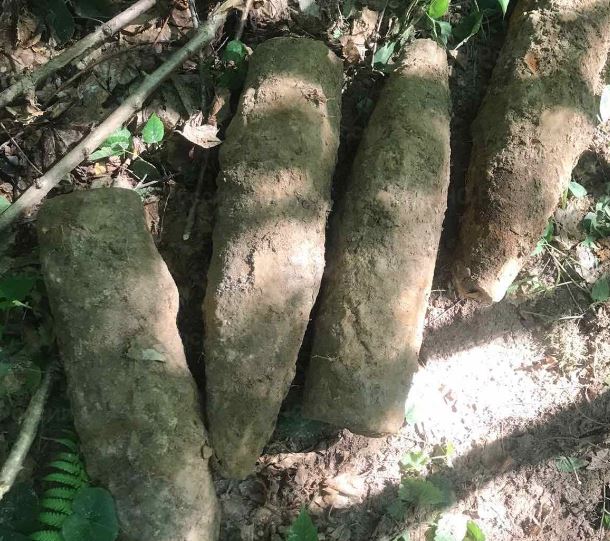 Брянские саперы обезвредили четыре артснаряда в лесу под Навлей