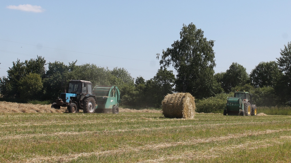 В Брасовском районе заготовка кормов идет по плану