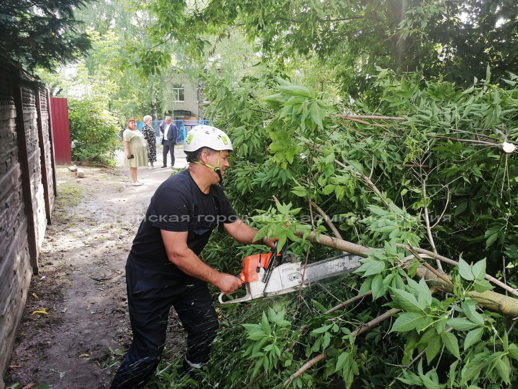 Возле детского сада в Брянске упало дерево