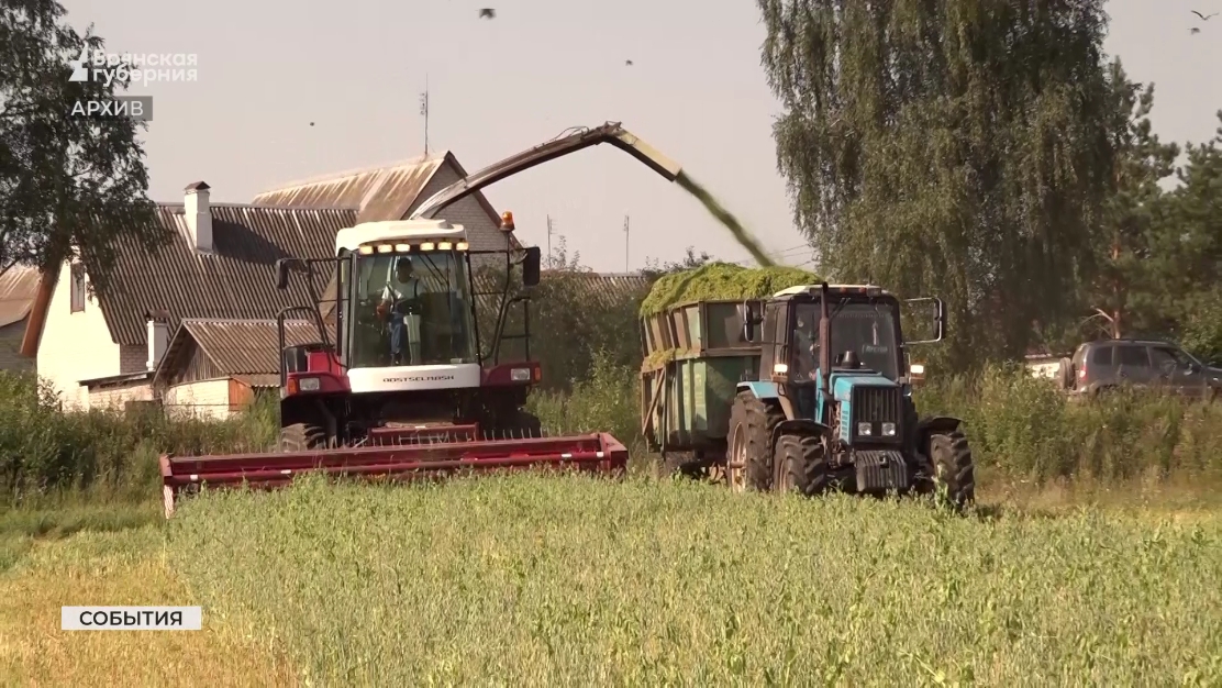 В хозяйствах Брянской области полным ходом идёт заготовка сенажа и силоса