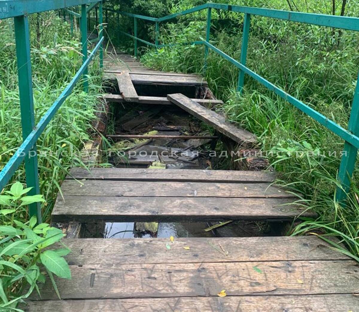 В Брянске отремонтируют убитую лестницу в овраге Нижний Судок