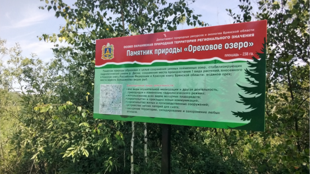 В Рогнединском районе Брянщины обозначили баннером «Ореховое озеро»