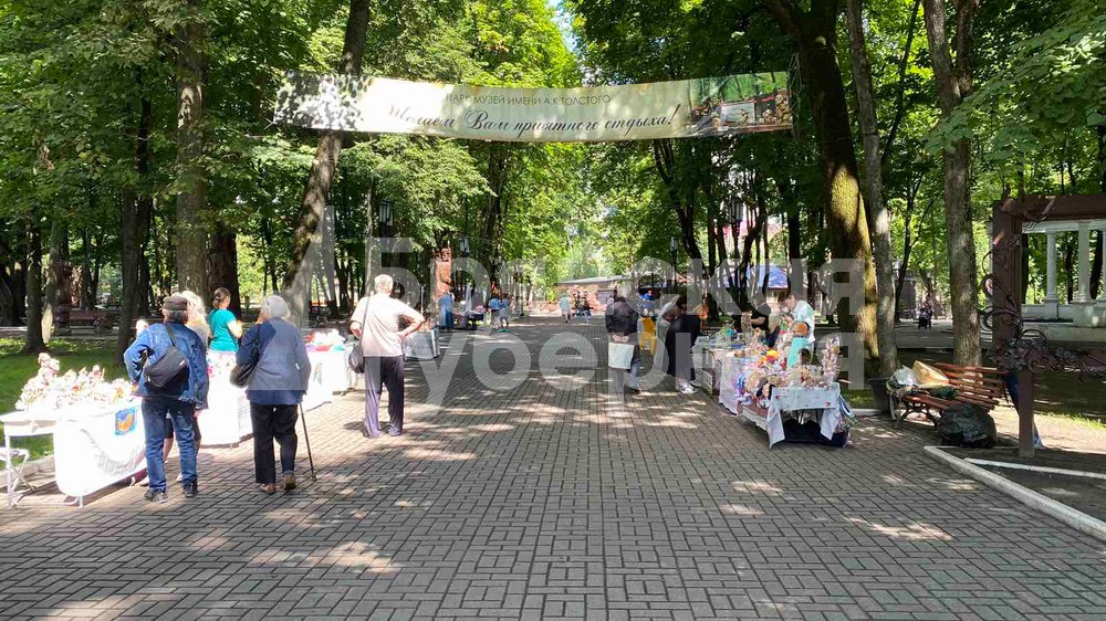 В парке Толстого в Брянске появятся три новых деревянных скульптуры