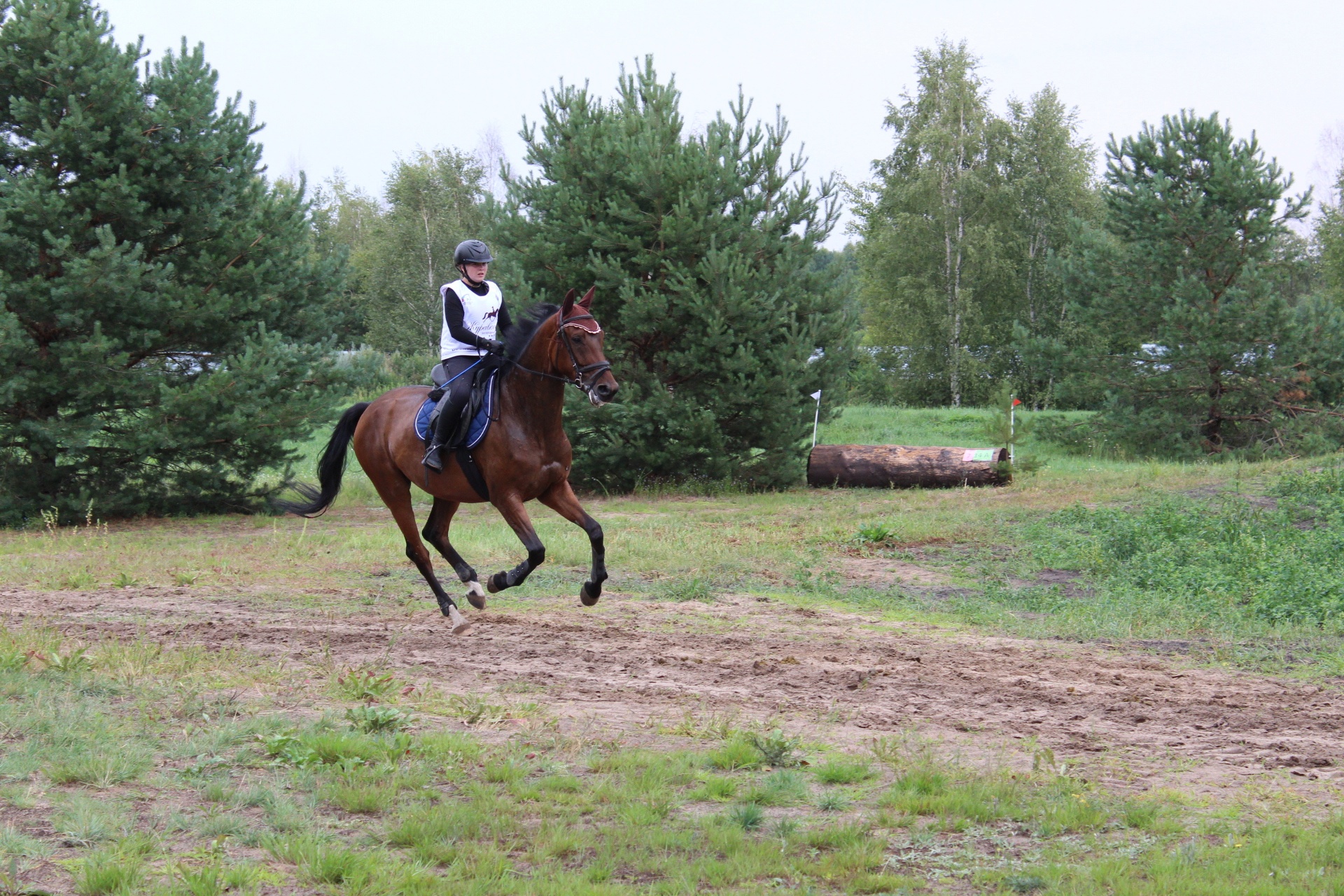 В Навлинском районе прошли соревнования по конному спорту