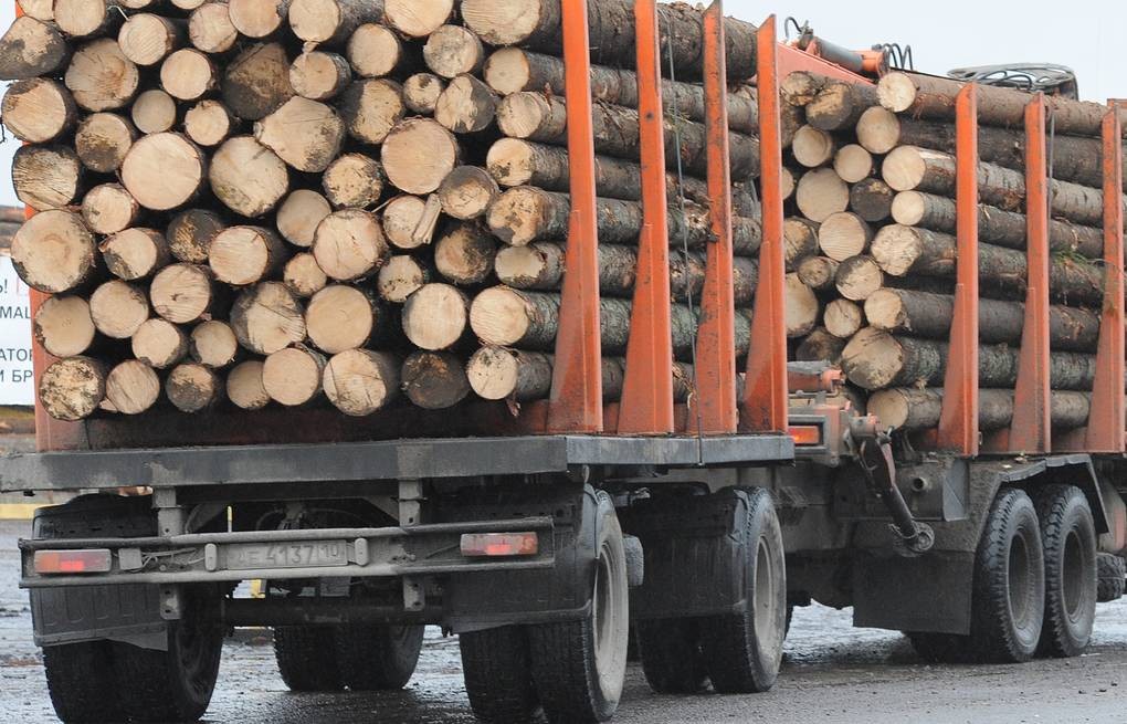 Брянская таможня уличила краснодарского бизнесмена в незаконном вывозе в Чехию леса на 1,3 млн рублей