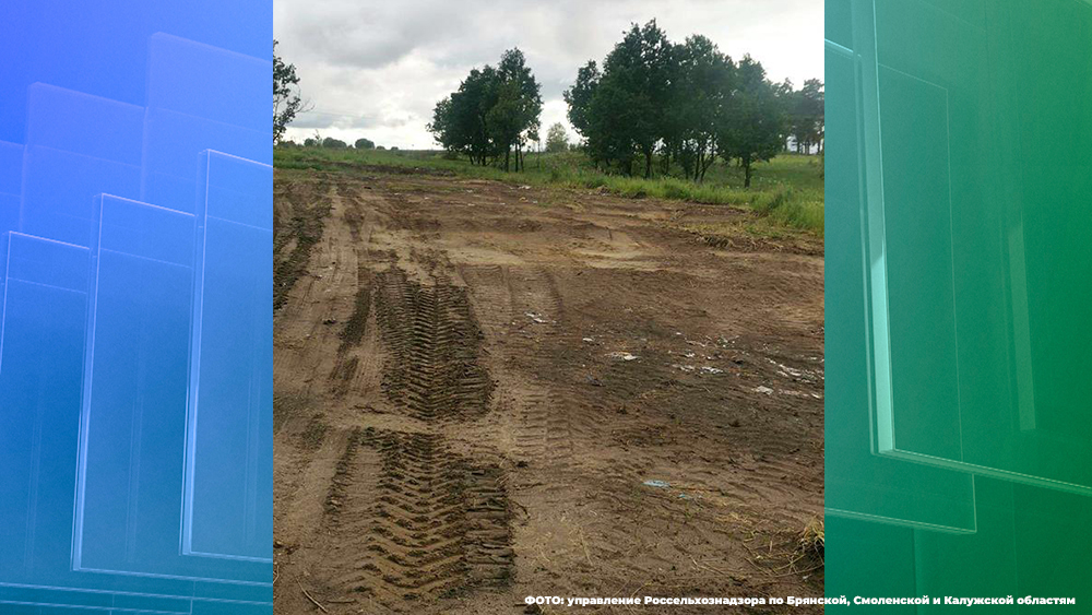 В Брянской области убрали две несанкционированные свалки за землях сельхозназначения