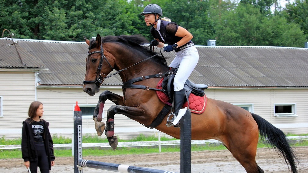В городе Фокино прошли соревнования по конному спорту