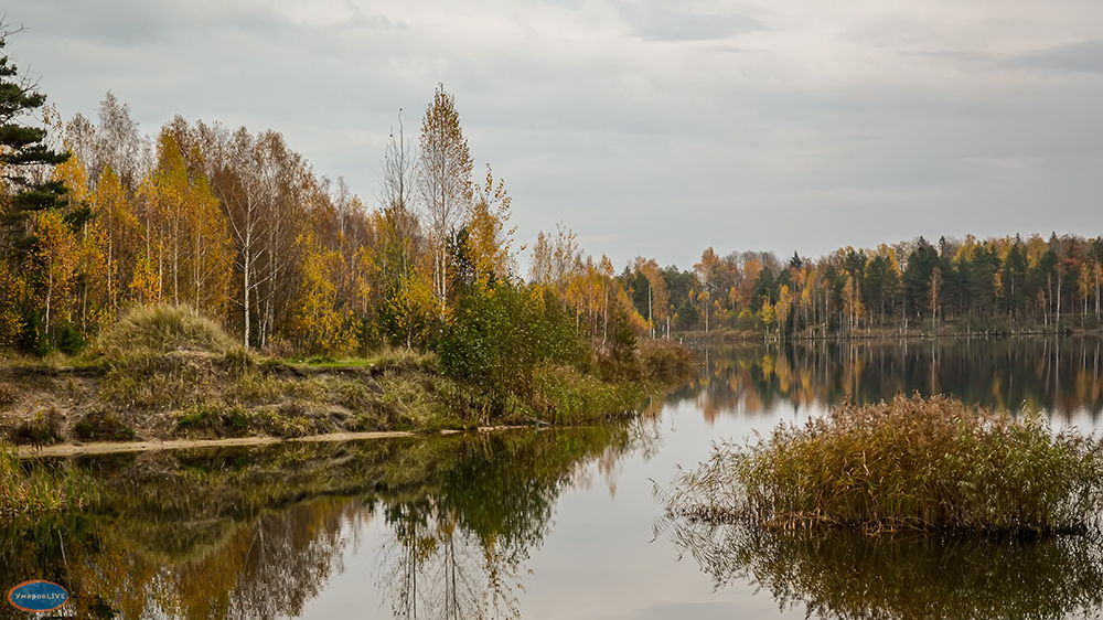 Тишковец: в Брянской области «осенью запахнет» к середине сентября