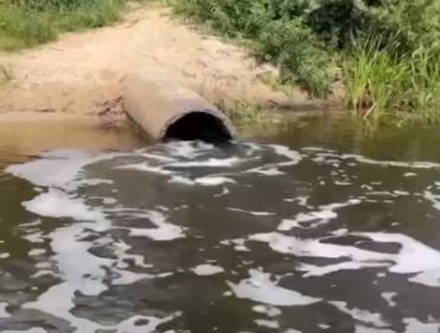 Информацию о сливе нечистот в реку Ипуть возле Суража проверит прокуратура