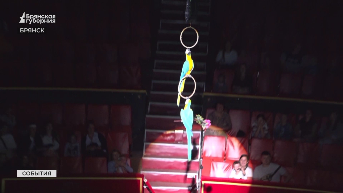 В Брянске впервые прошло цирковое представление с тифлокомментированием