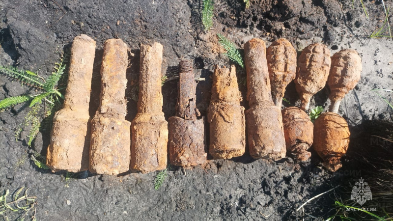 В Брасовском районе обнаружили 11 гранат времен ВОВ