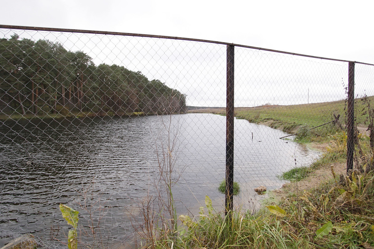 В брянском поселке Мичуринский суд потребовал демонтировать забор, ограничивающий доступ к ручью
