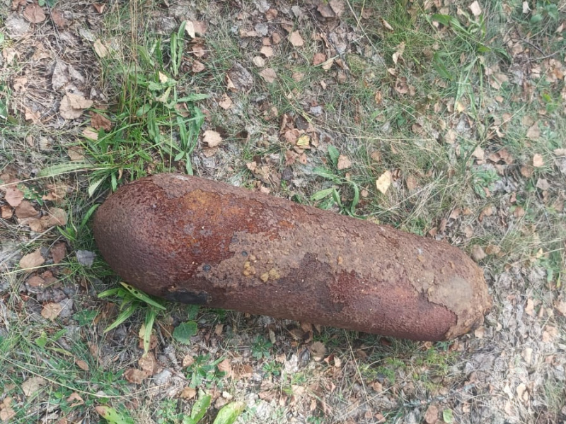 В брянских лесах 24 августа нашли артиллерийский снаряд и авиабомбу