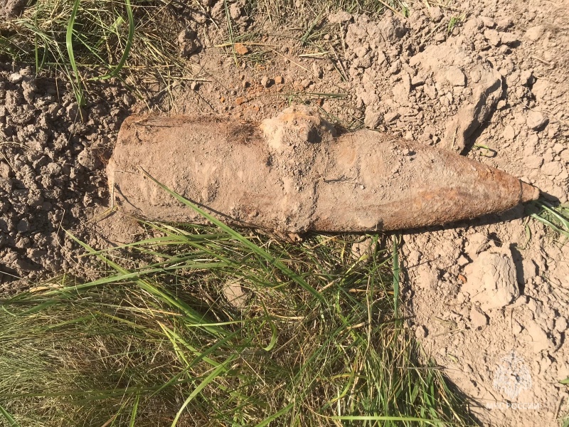 В Рогнединском районе саперы обезвредили найденную в лесу 50-килограммовую авиабомбу