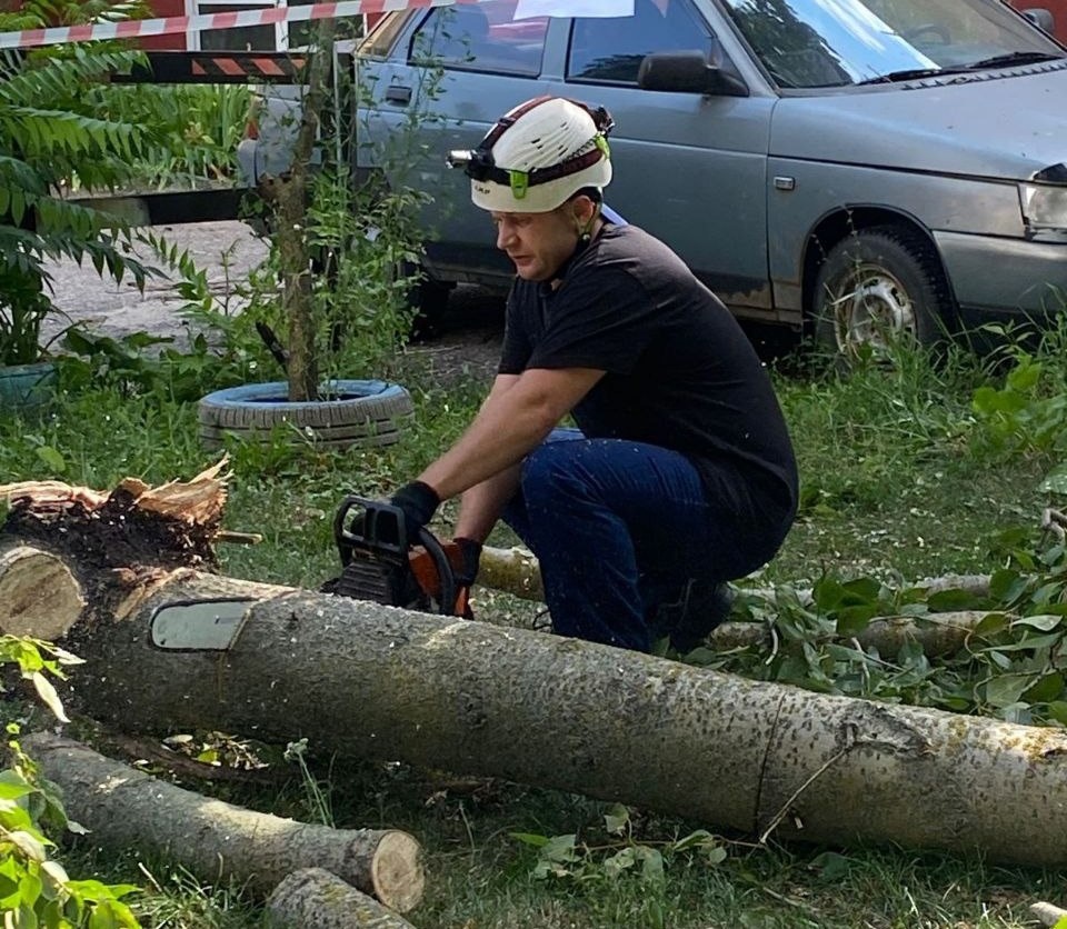 В Брянске ураганный ветер повалил дерево во дворе многоэтажки по проспекту Ленина