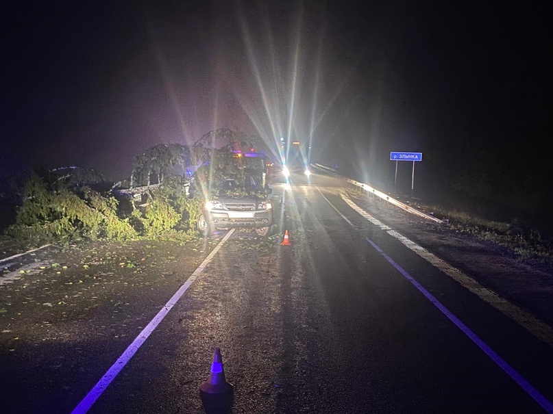 Под Злынкой на автомобиль рухнуло дерево: ранен 24-летний пассажир