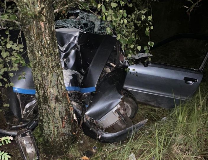 На брянской трассе легковушка влетела в дерево: ранены два пассажира