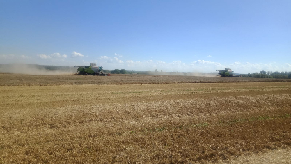 В Севском районе идёт уборка зерновых и озимого рапса