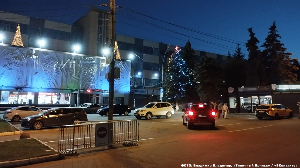 Рядом с Домом быта в Советском районе Брянска заметили новогоднюю ель