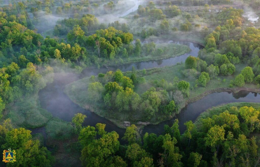 В Брянской области восстанавливают вырубленные и погибшие лесные насаждения