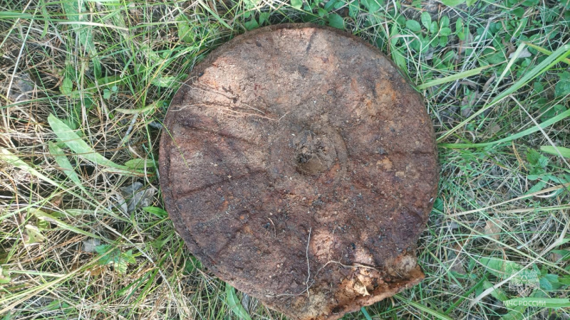 В лесу под Севском нашли противотанковую мину