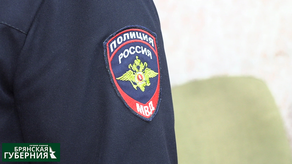 Брянские полицейские раскрыли кражу бензопилы