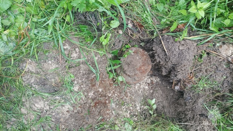 Саперы обезвредили две мины в Брянском районе