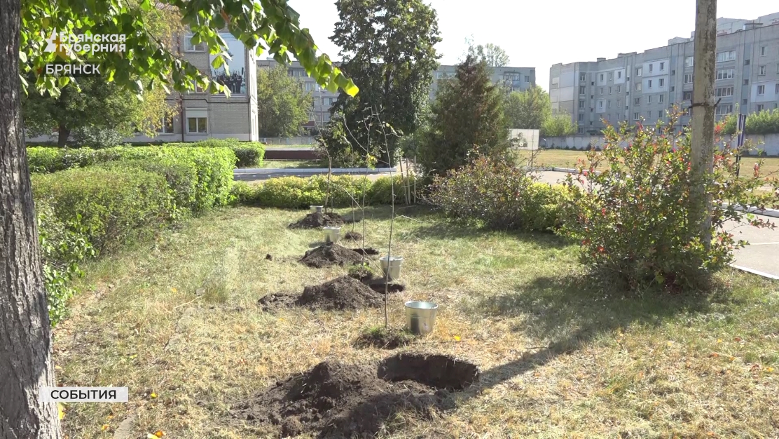 В кадетской школе Брянска посадили 4 новых дерева в честь Дня воссоединения