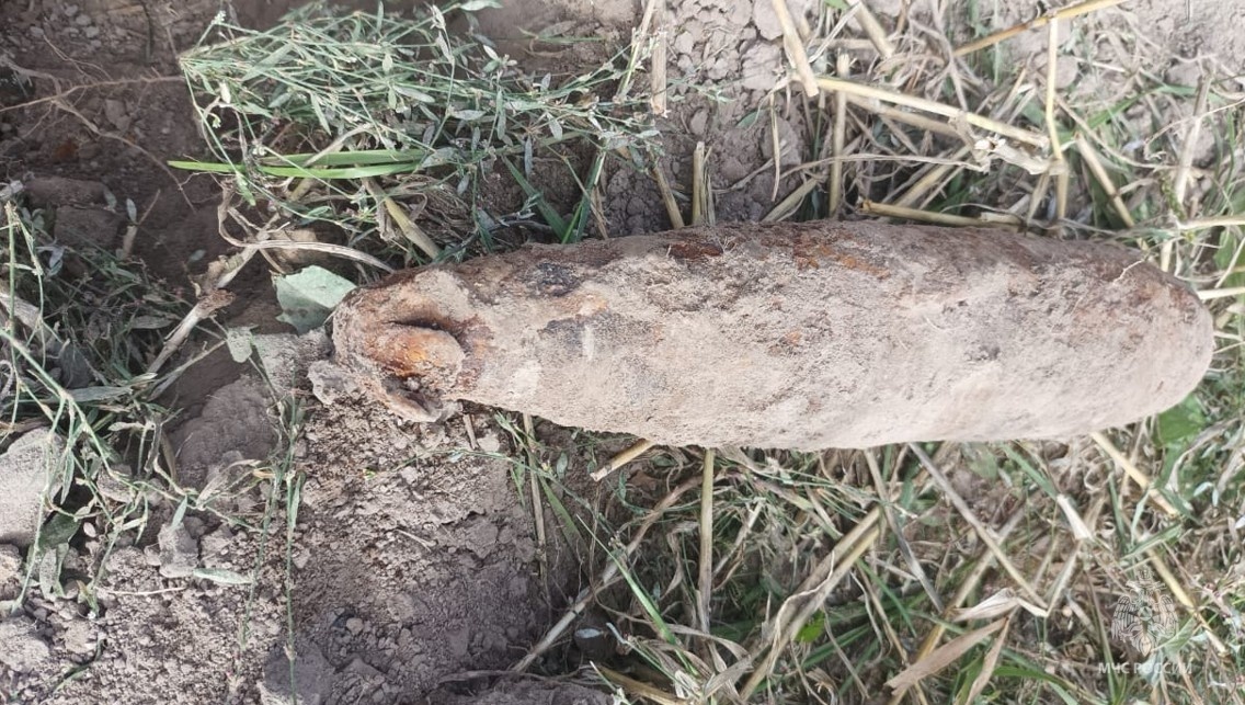 В Почепском районе саперы обезвредили 10-килограммовую бомбу