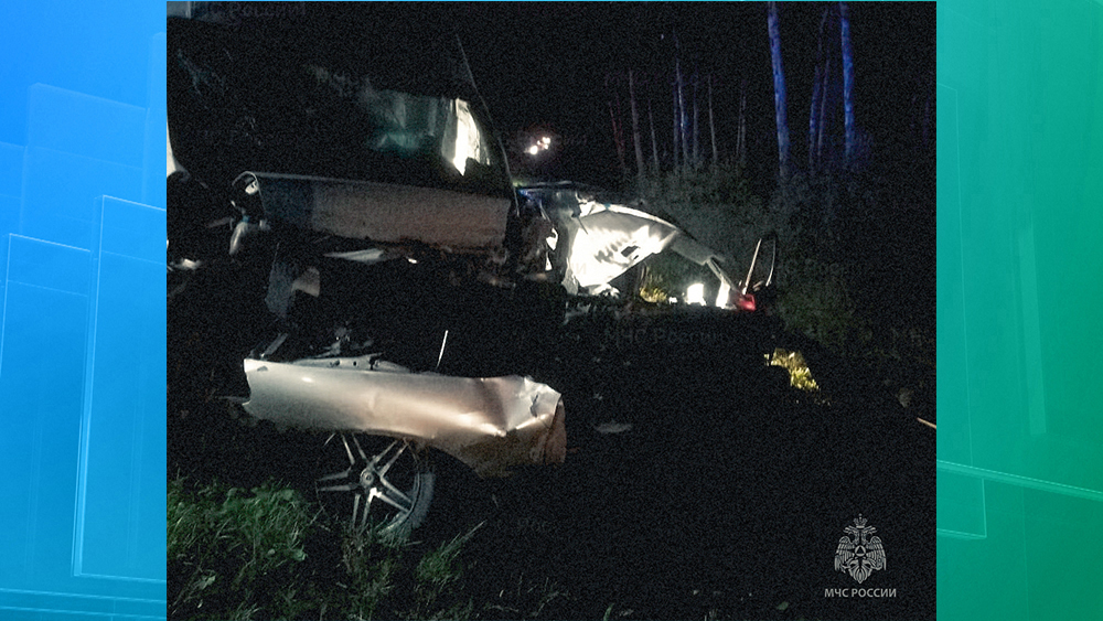 Минувшей ночью на брянской трассе столкнулись два легковых автомобиля