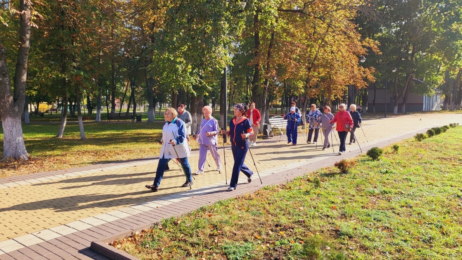 Брянск присоединился к Всероссийской акции «10000 шагов к жизни»