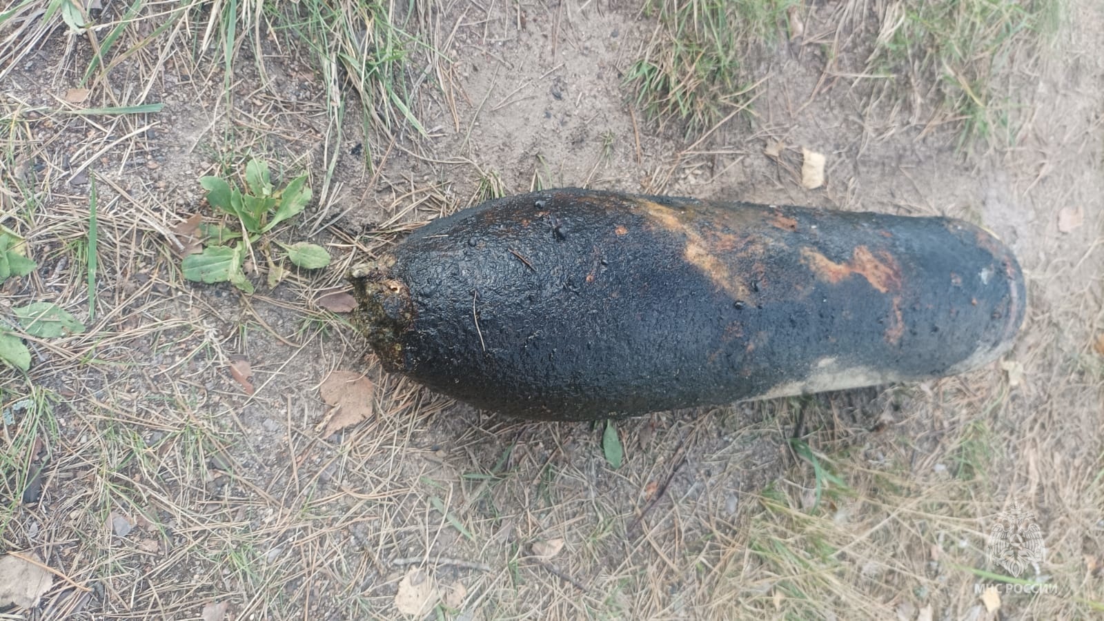 В Десне под Жуковкой нашли артиллерийский снаряд