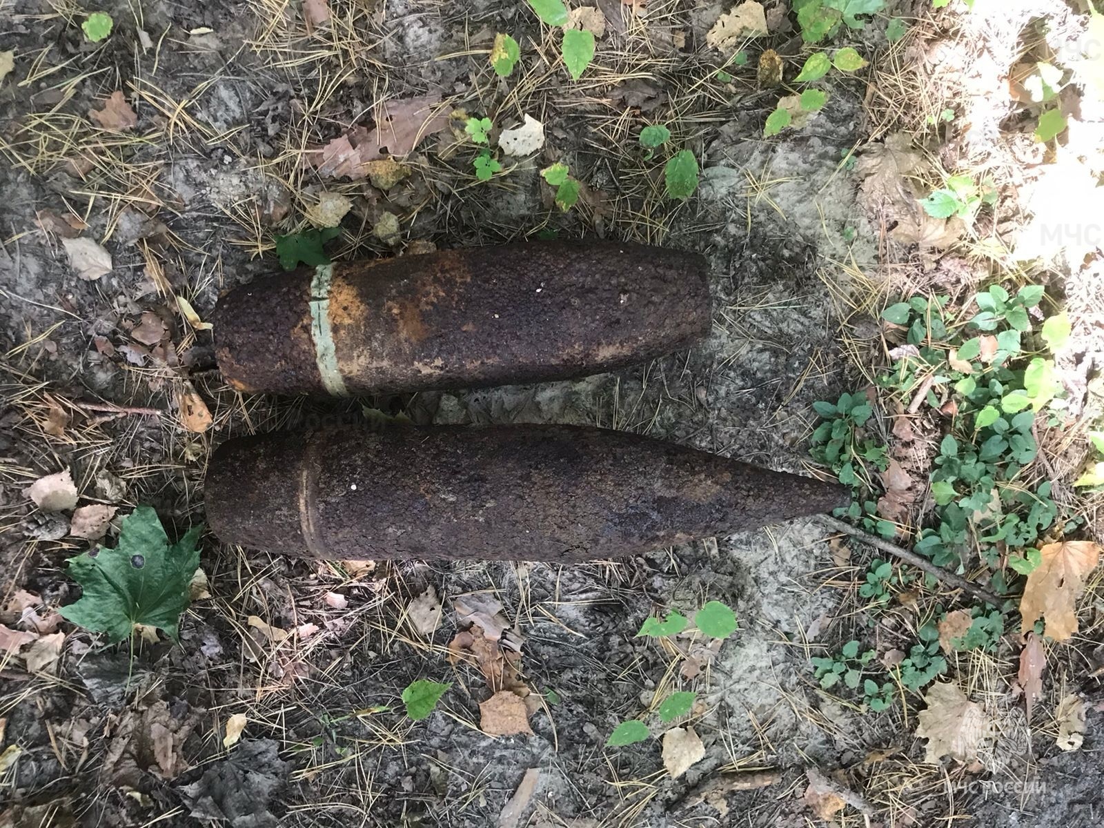 Брянские сапёры обезвредили два артснаряда в лесу под Новозыбковом