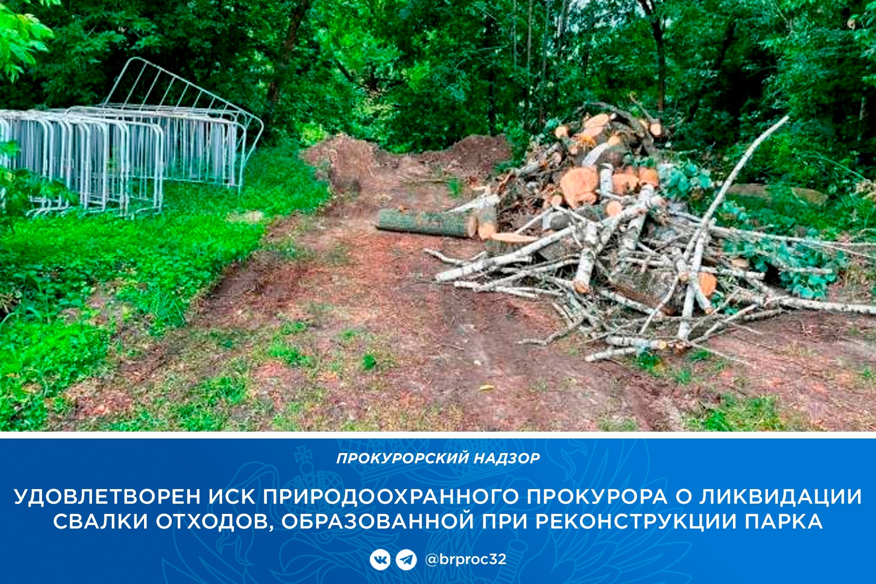 Прокуратура требует ликвидировать свалку в парке имени 1000-летия Брянска