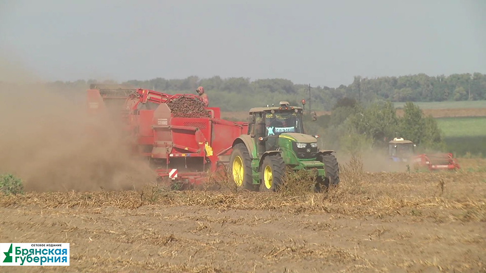На полях Клинцовского района завершена уборка зерновых