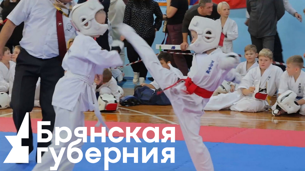 В Клинцах состоялся областной турнир по всестилевому карате