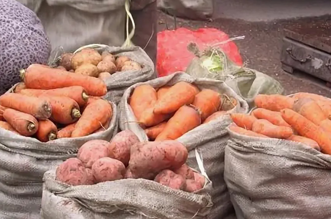 Пожилым жителям Дятьковского района помогли заготовить на зиму 4,2 тонны овощей