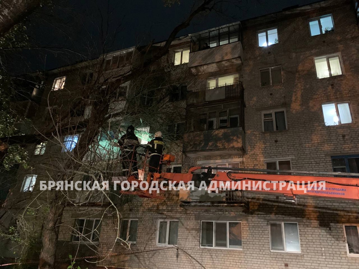 В Брянске на дом по улице Советской упал сук дерева