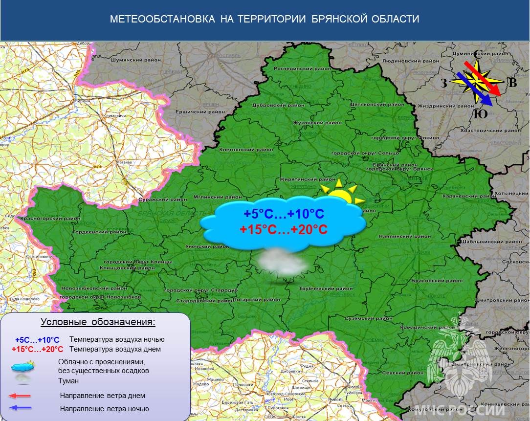 В Брянской области 2 октября обещают +20 градусов и туман