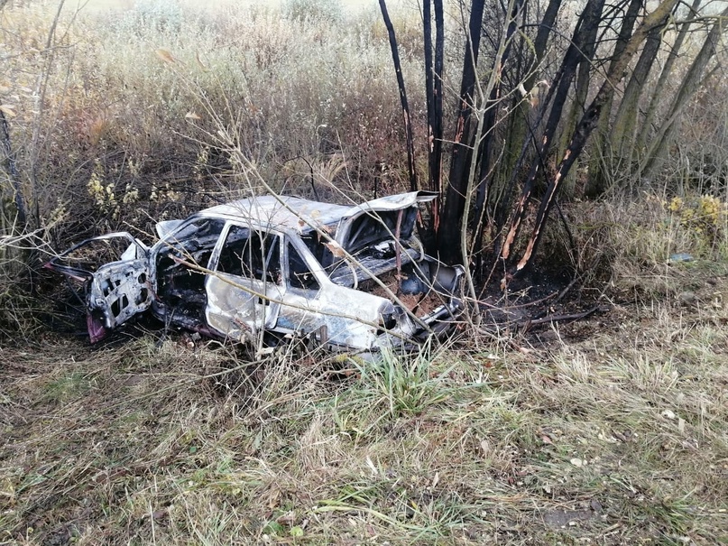 На брянской трассе 36-летний водитель врезался в дерево и заживо сгорел в машине